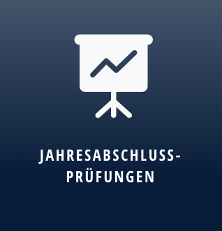 Jahresabschlussprüfungen